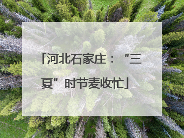 河北石家庄：“三夏”时节麦收忙